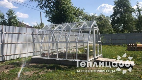 Теплица Рада Исеть под стекло 3х4 метра